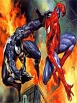 pic for Spiderman vs Venom